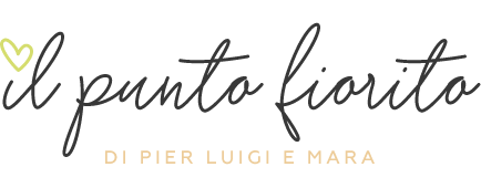 Il Punto Fiorito, fiorista a Forlimpopoli